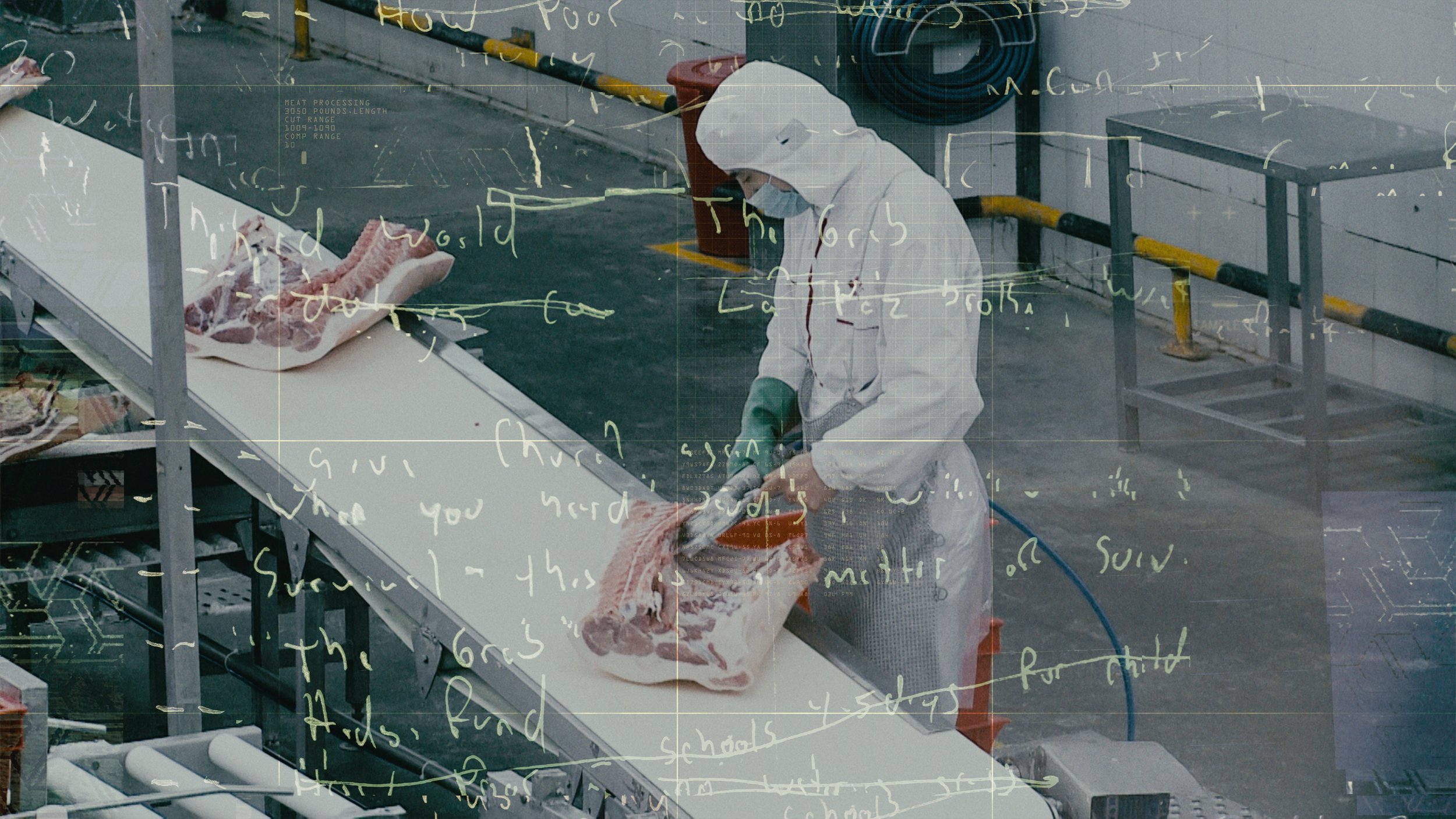 The Grab A Magnolia Pictures Film Directed By Gabriela Cowperthwaite Available On Dvd Or Digital