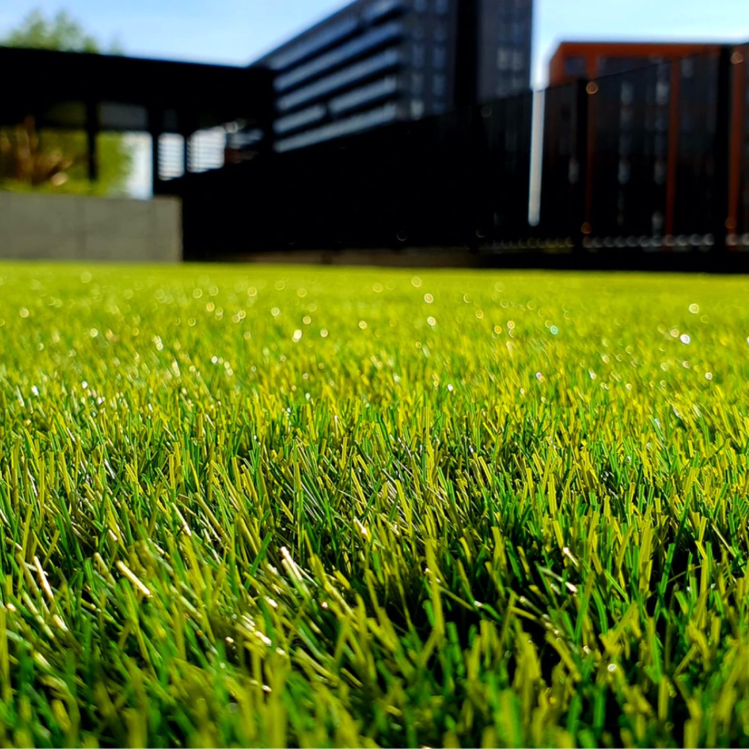 Turf Classic Horse Racing Event