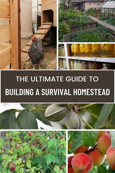 The Ultimate Guide To Building A Survival Homestead Why You Should And How To Start The Small Town Homestead