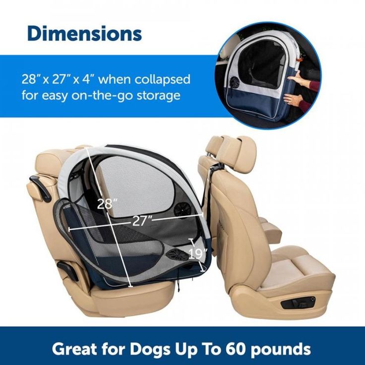 This Collapsible Dog Crate Keeps Your Pet Safe And Free While Traveling This Collapsible Dog Crate Keeps Your Pet Safe And Free While Traveling