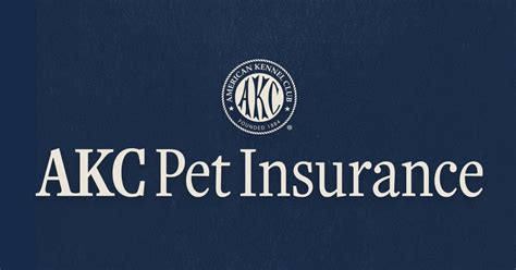 Understanding Pet Insurance Pre Existing Conditions Akc Pet Insurance Understanding Pet Insurance Pre Existing Conditions Akc Pet Insurance