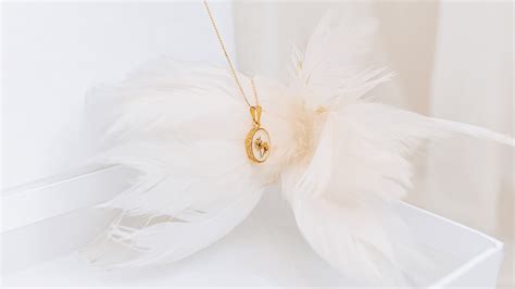 Unlocking Heart Intelligence Kelly Jade Unlocking Heart Intelligence Kelly Jade