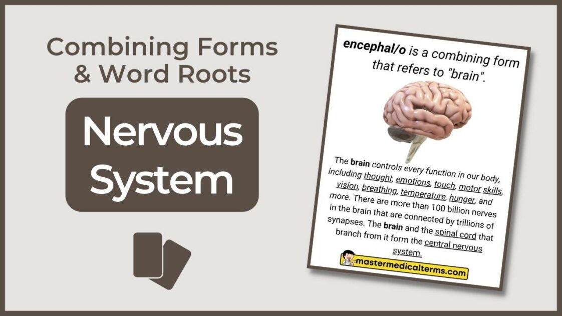 Vas o medical term: Unraveling the Mystery Behind Its Origins and Significance