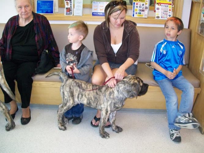 5 Tips VCA Alaska Pet Care