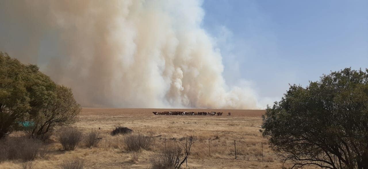 Veld Fires 101 What How Beauty And Challenges Veld Fires 101 What How Beauty And Challenges