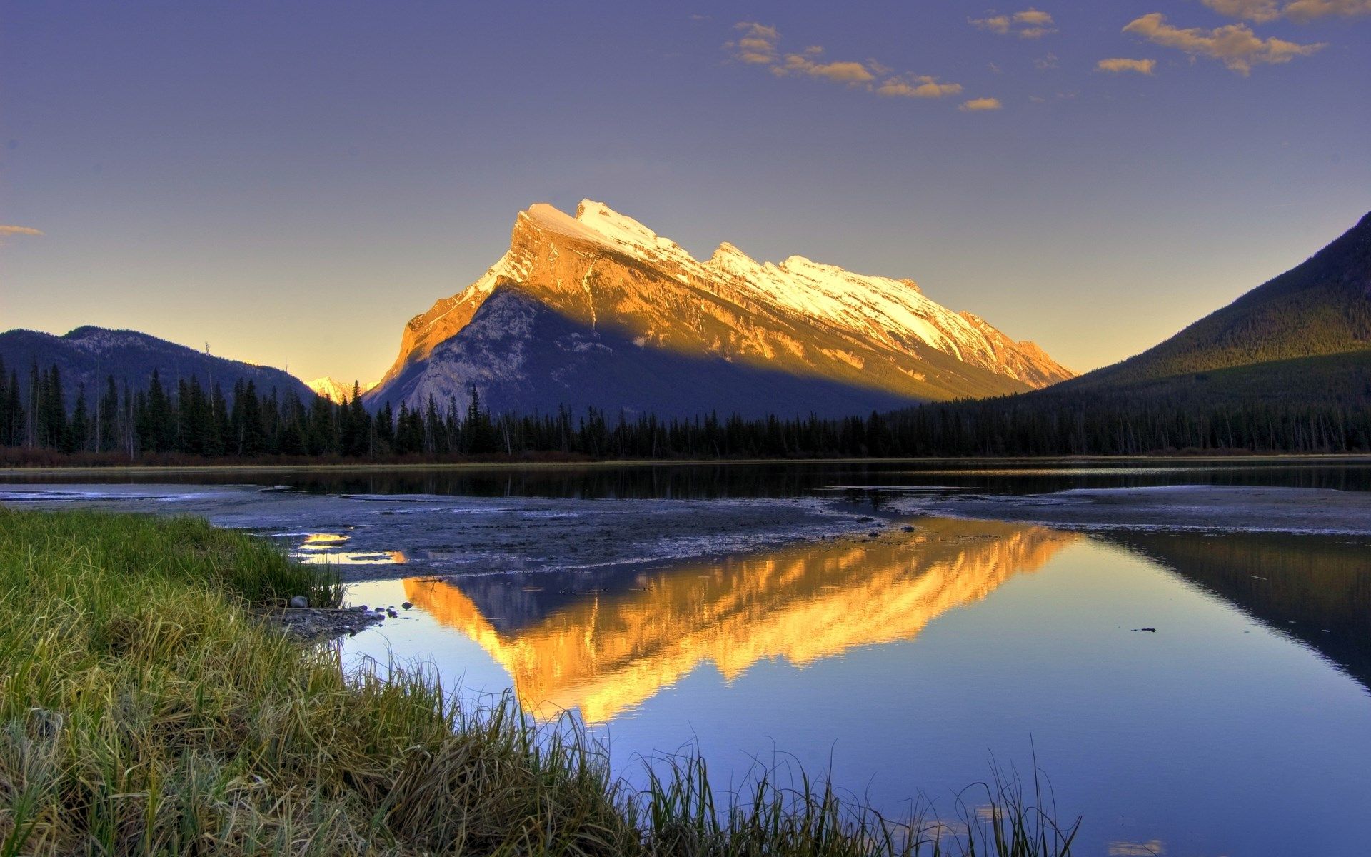 View Of Family V0 1 0 Apk Latest Android Adult Game Download For Free