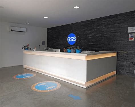 What is GSS: Exploring Its Financial Benefits and Investment Opportunities