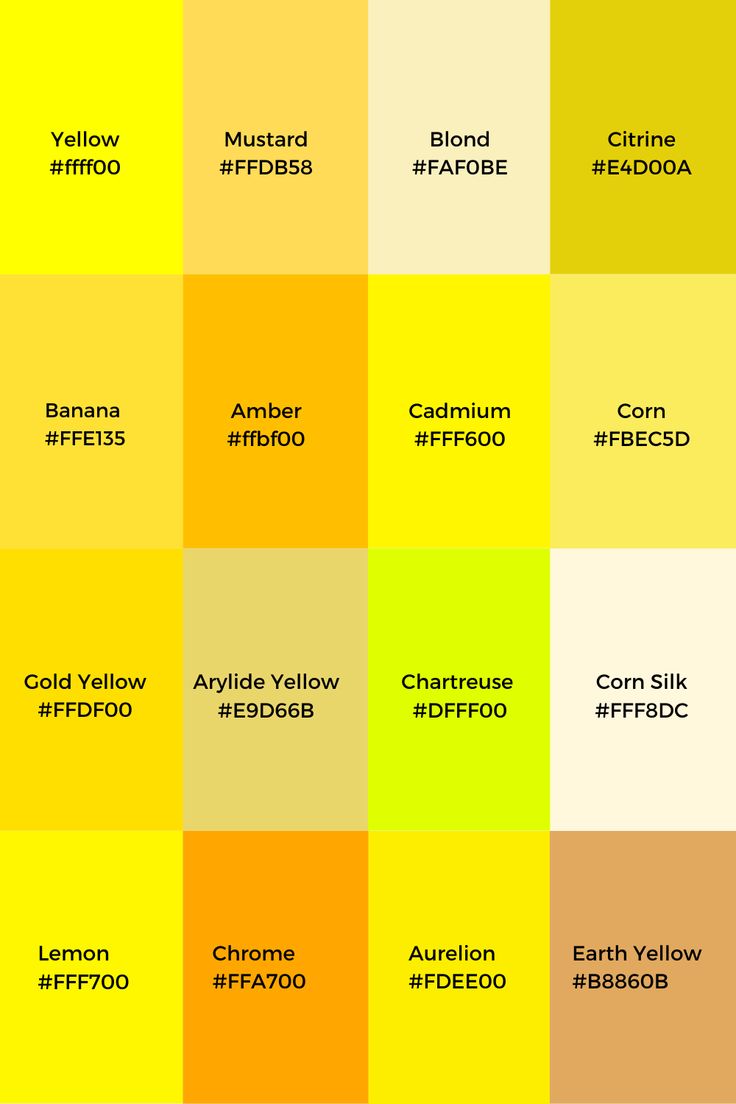 Speeding Up Politics: The Rapid Rise of the Yellow Dog Democrat