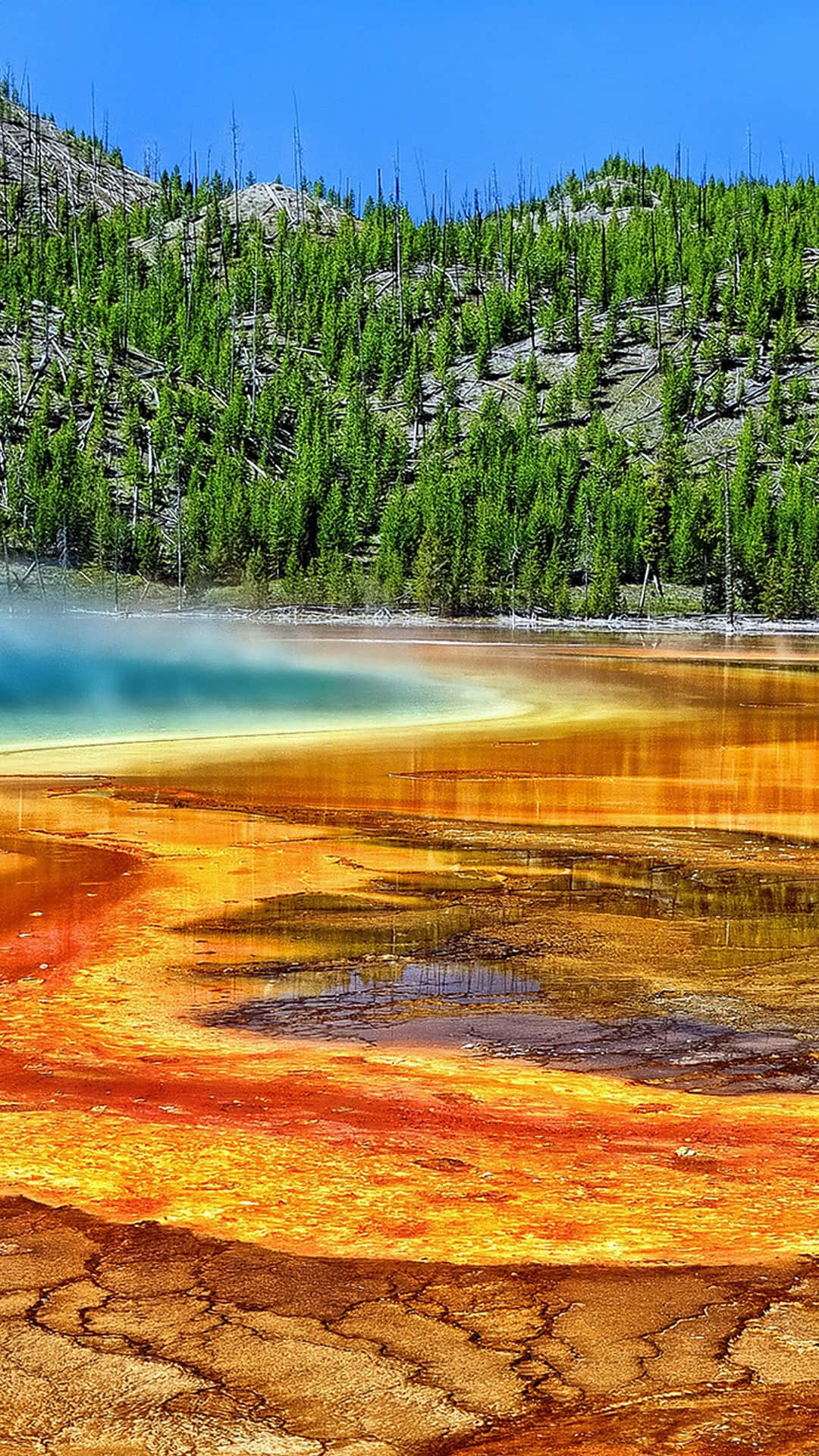 Discover the Surprising Yellowstone 6666 Release Date You Need to Know