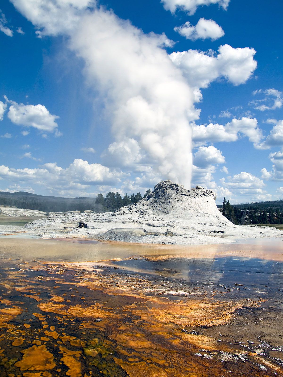 Maximize Your Investment: Yellowstone Release Date and Its Financial Impact