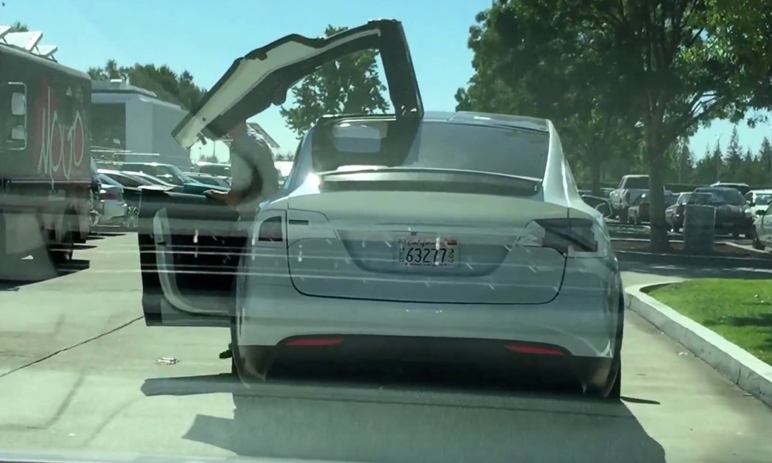 Tesla Model X Falcon Doors Caught on Video