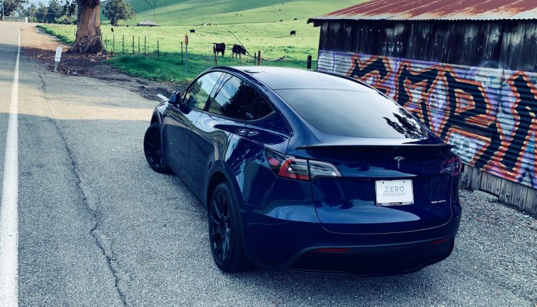 Tesla Model Y (Photo: Teslarati)