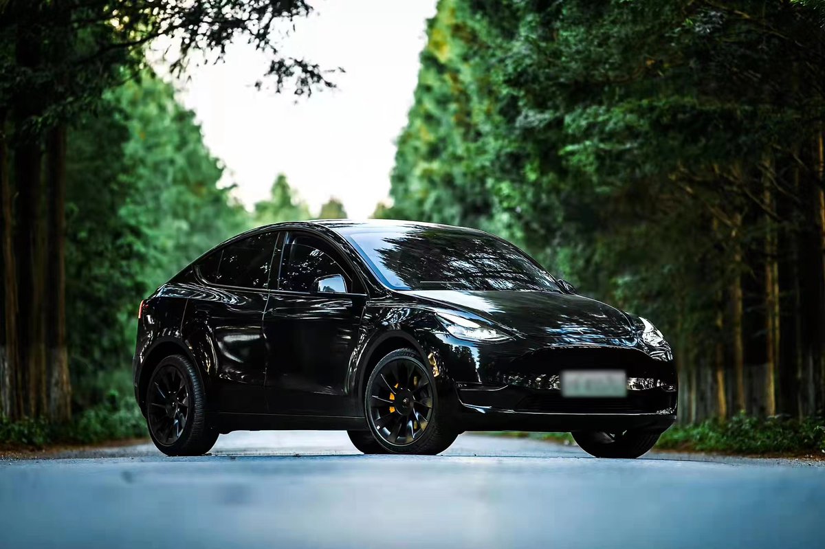 tesla china model y