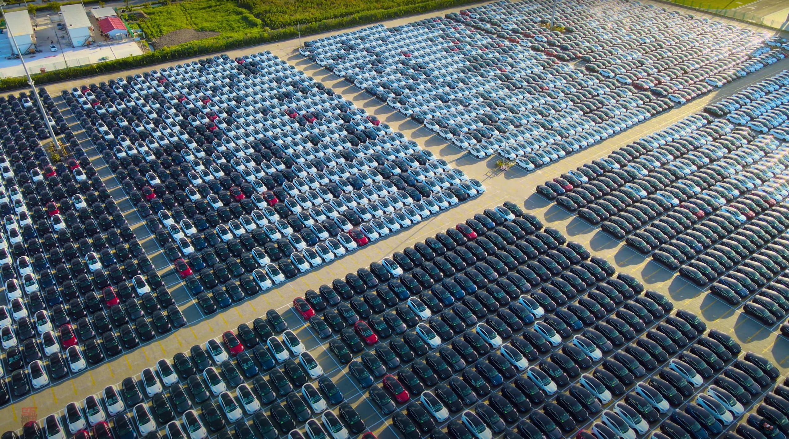 tesla vehicles in giga shanghai outbound lot