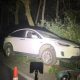 tesla-china-false-ap-accident