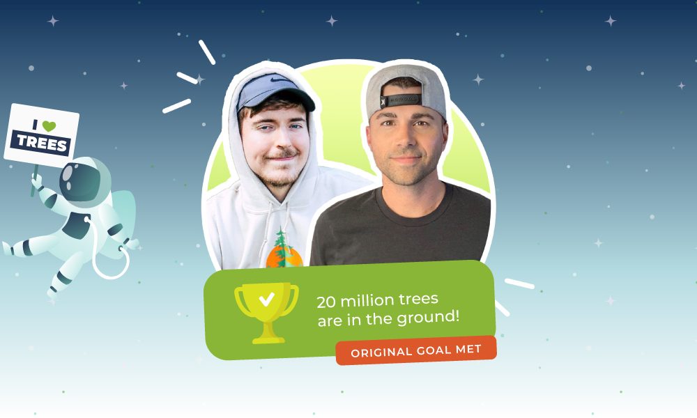 MrBeast's #TeamTrees campaign planted 24,008,450 trees