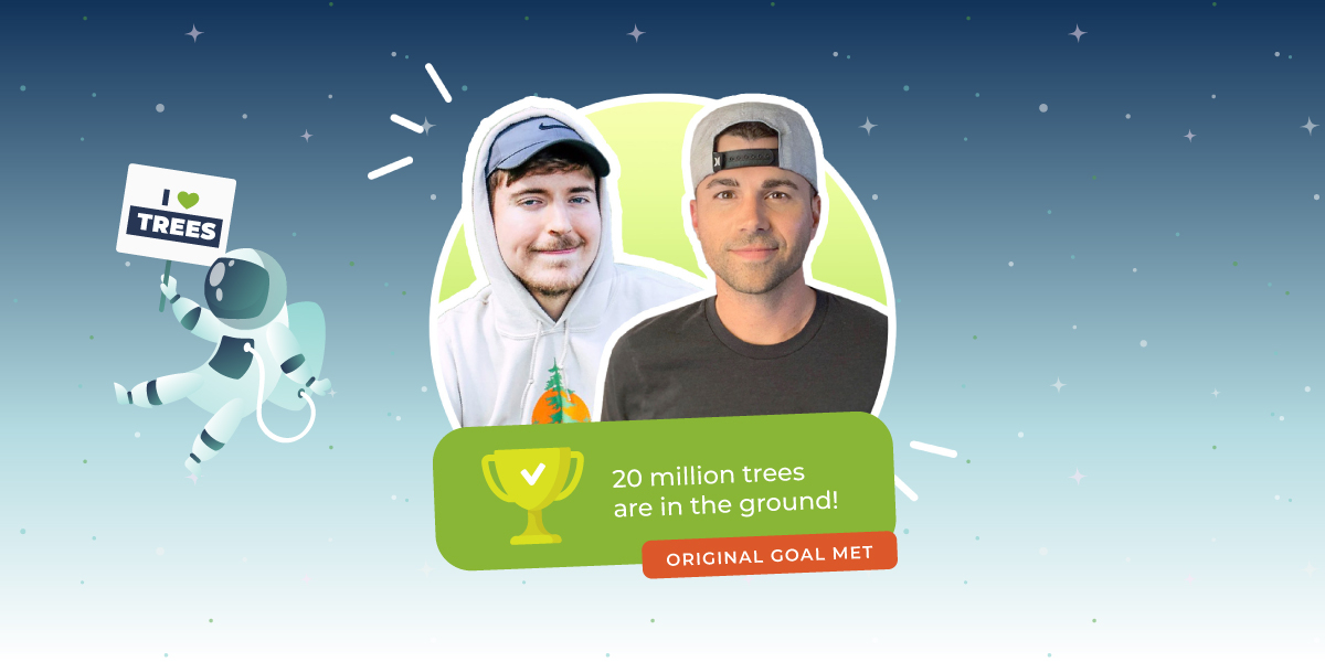 MrBeast's #TeamTrees campaign planted 24,008,450 trees