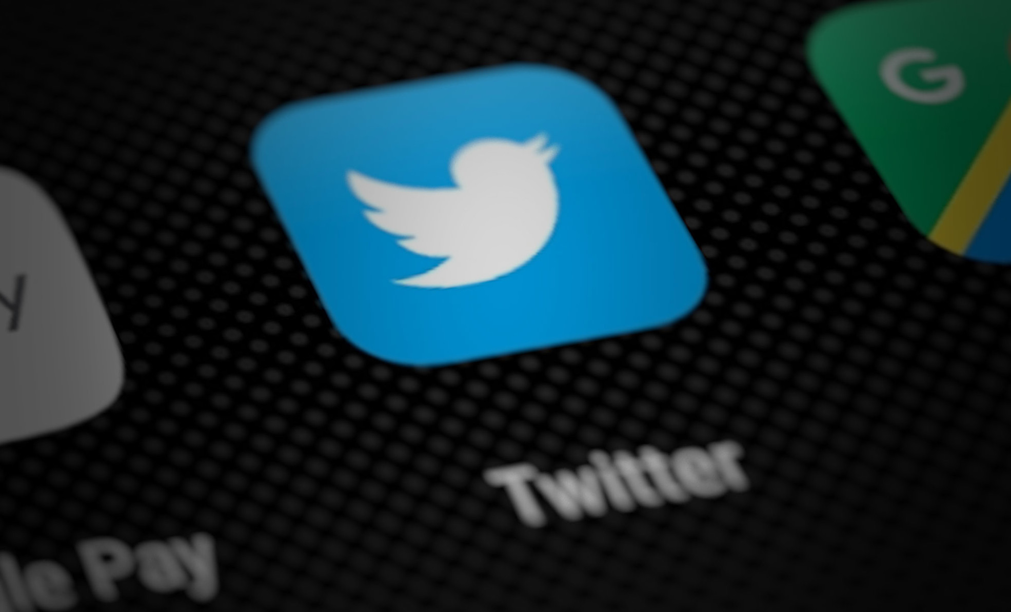 twitter logo