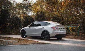 tesla model y in the fall