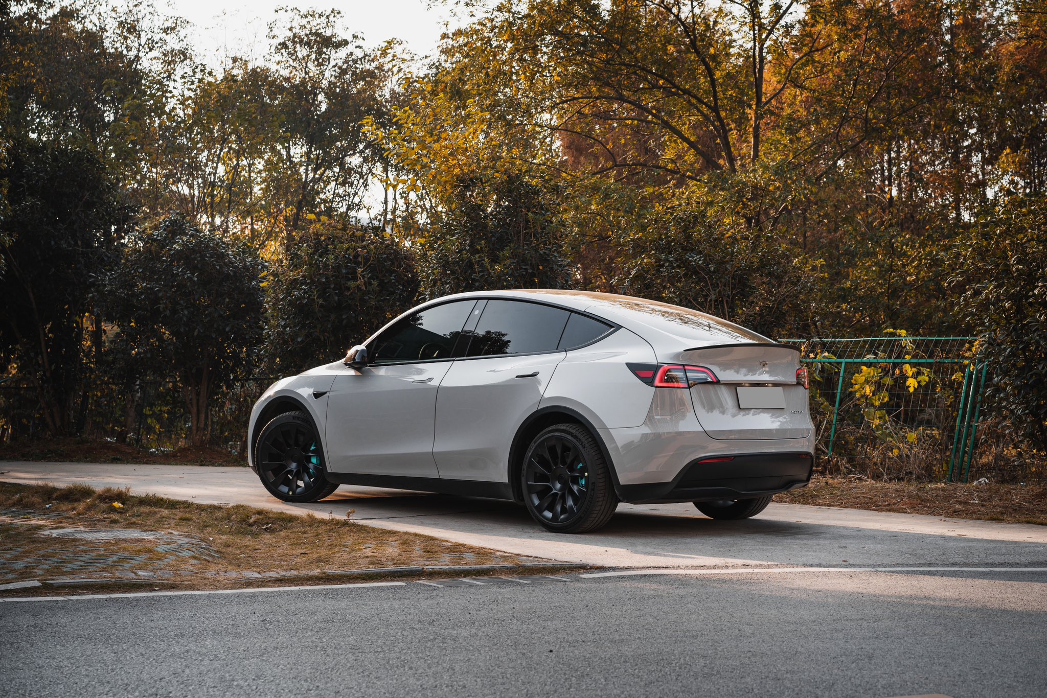 tesla model y in the fall