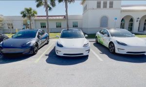 tesla model 3 fleet venice