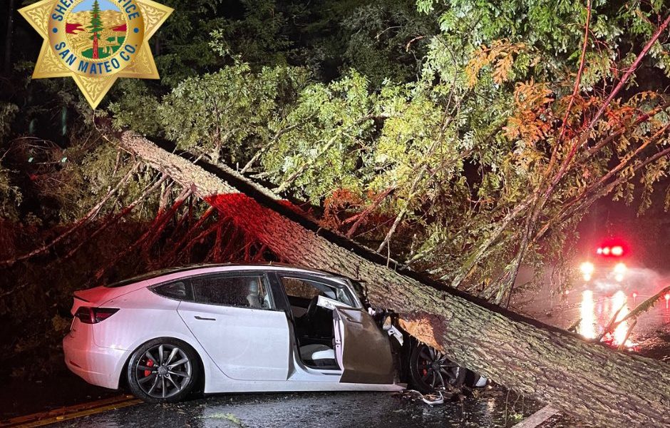 tesla model 3 smashed by tree