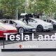 Tesla China