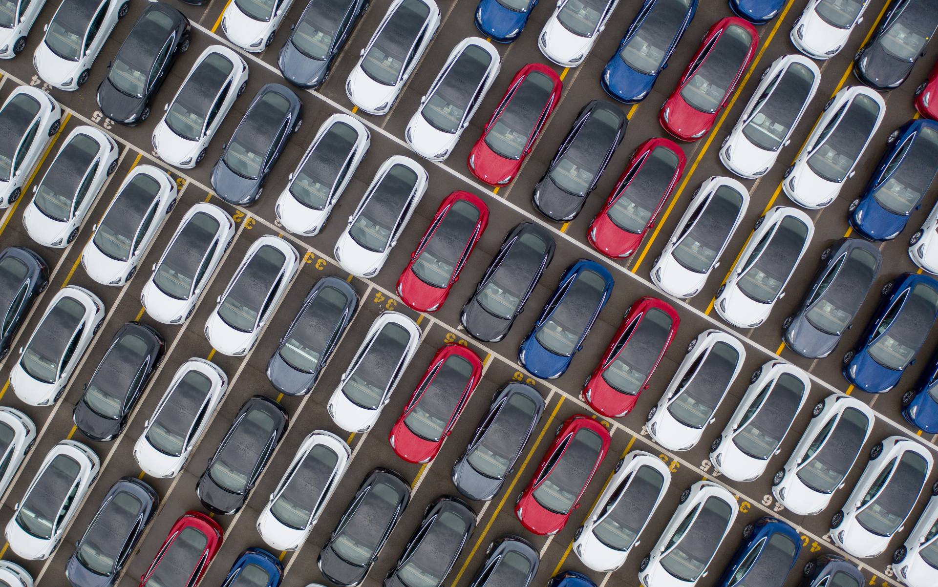 tesla model y fleet in a parking lot